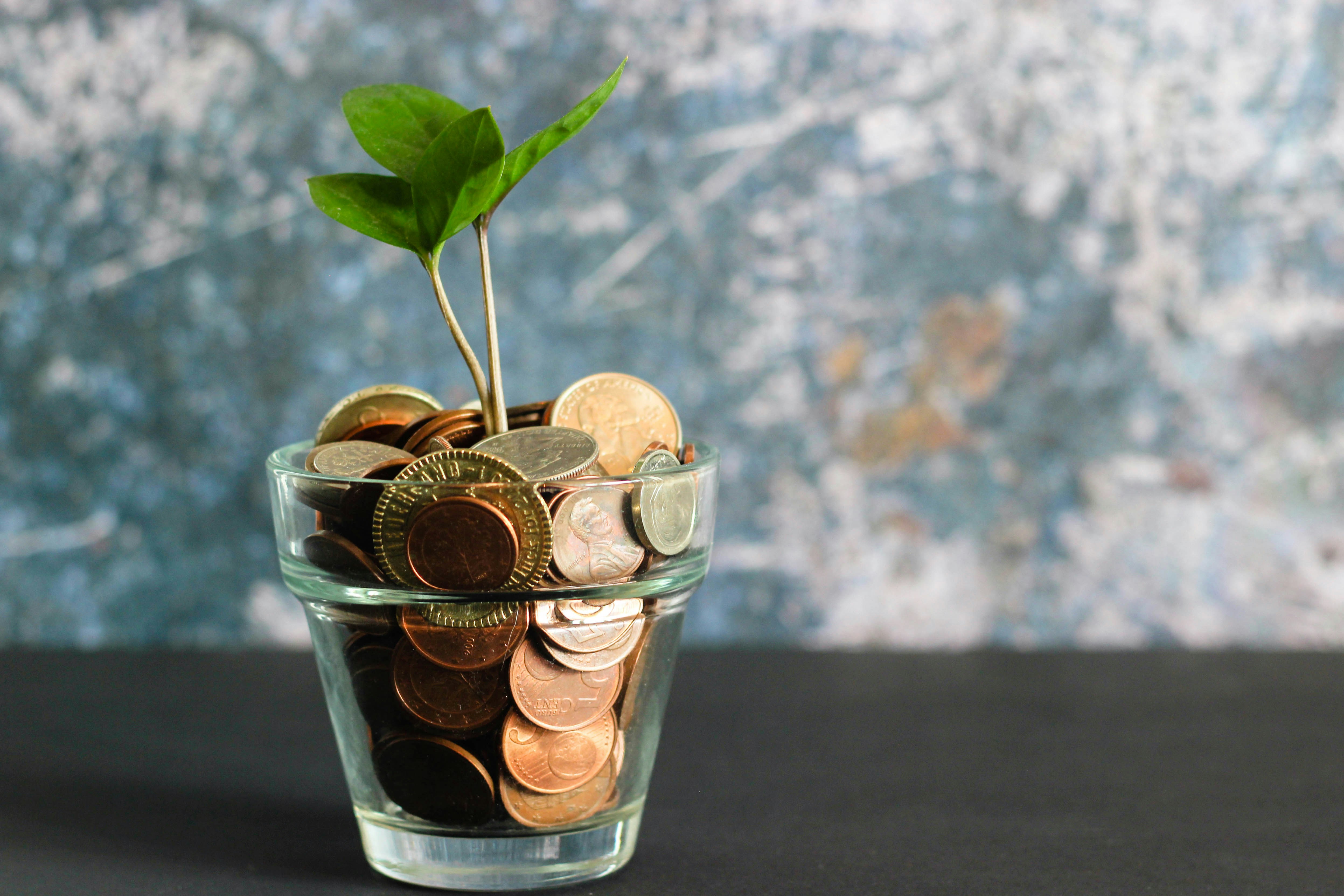 Inclusive Risk Financing Impact Pathways