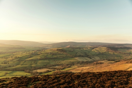 Church of England: Deforestation-free by 2025 – ambitious, but vital