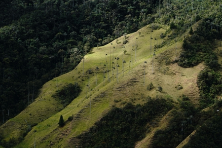 Four Indigenous leaders building climate resilience in their territories