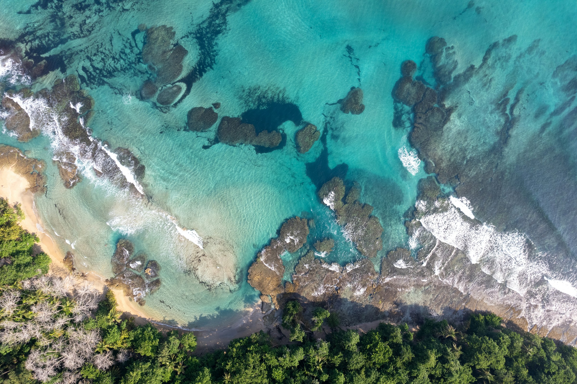 2. Stewarding Forests, Oceans, and Biodiversity