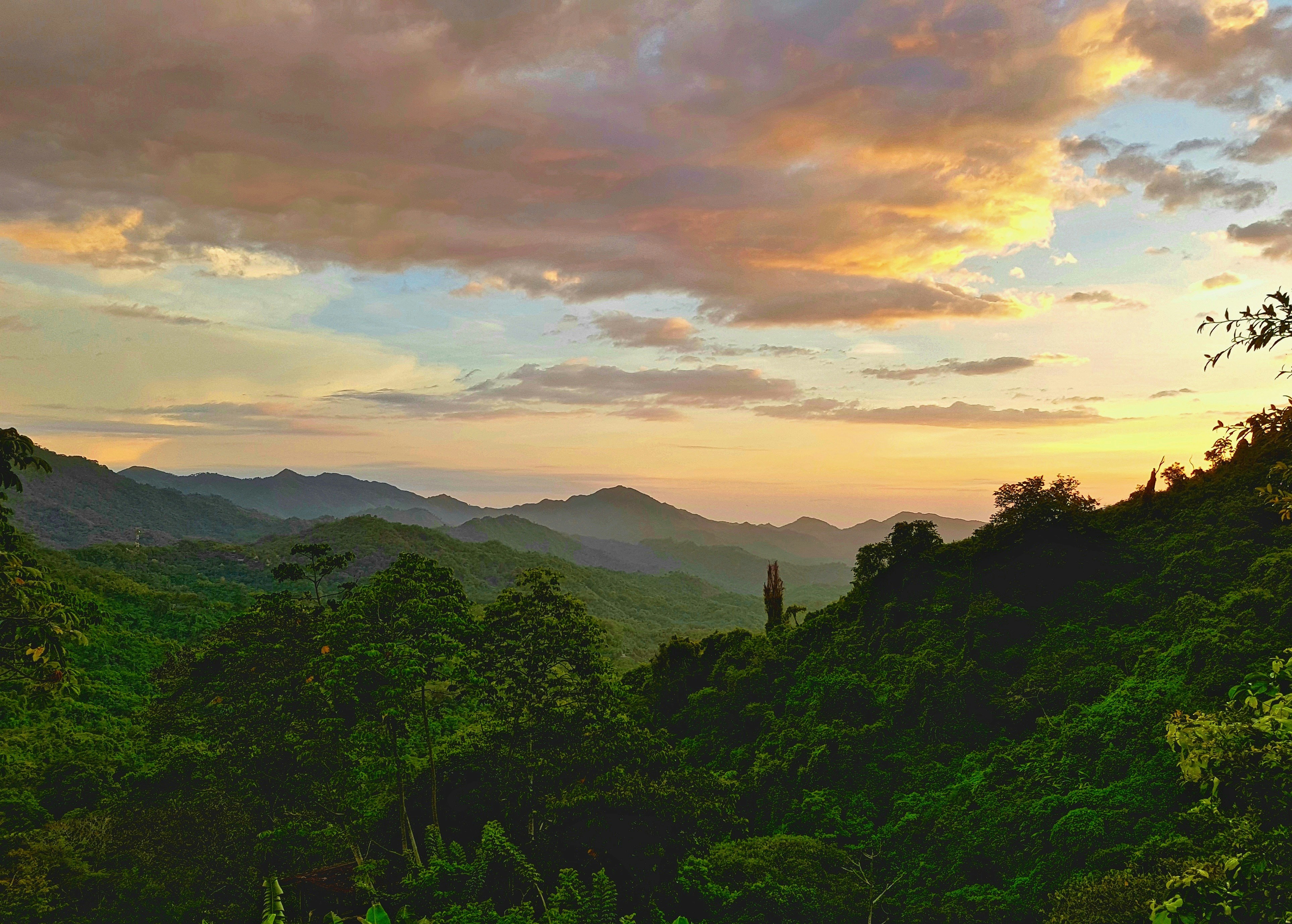 The initiative aiming to grow 1.5 million trees a year to restore river basins in Valle del Cauca, Colombia