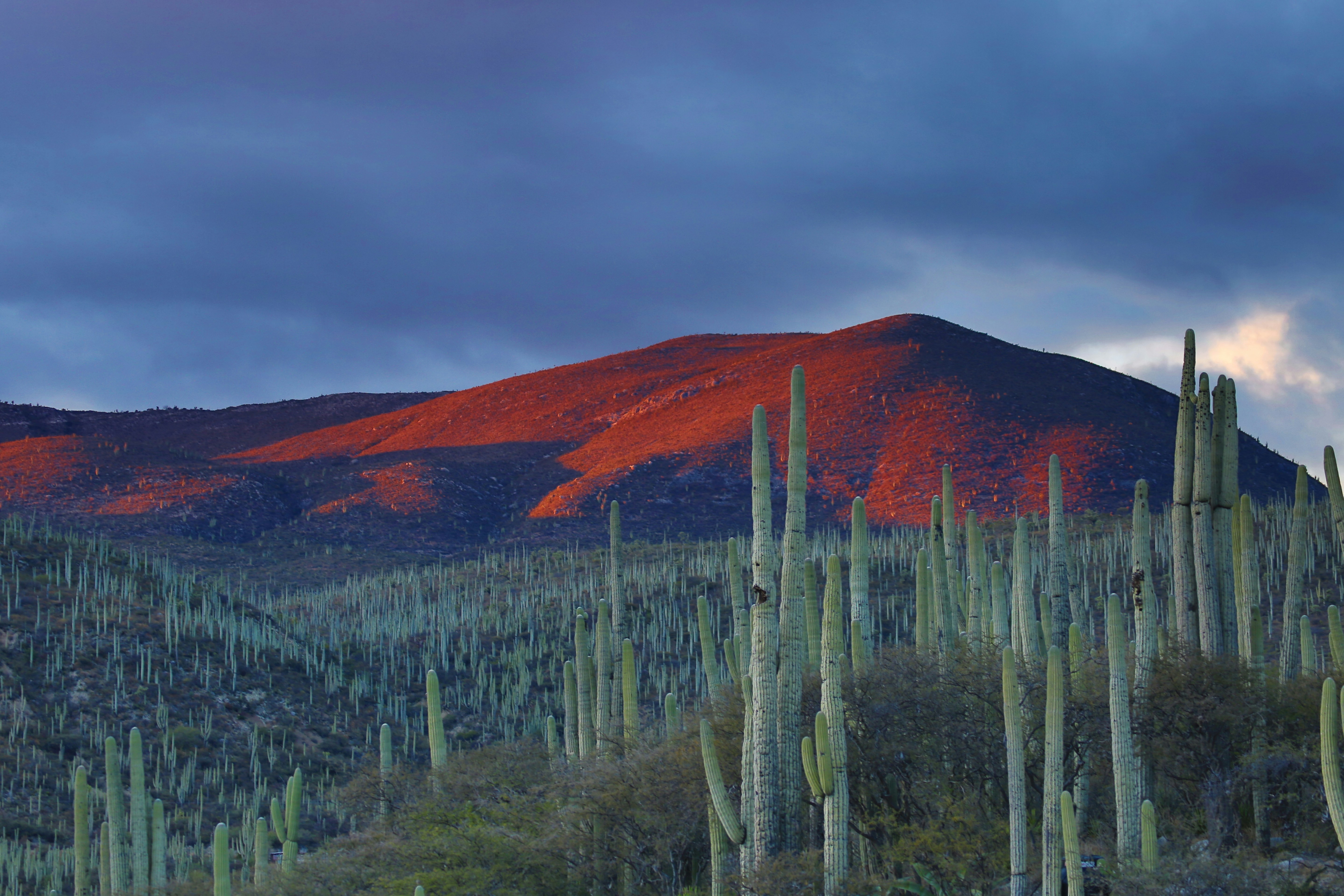 Climate finance managed directly by IPLCs in Mesoamerica