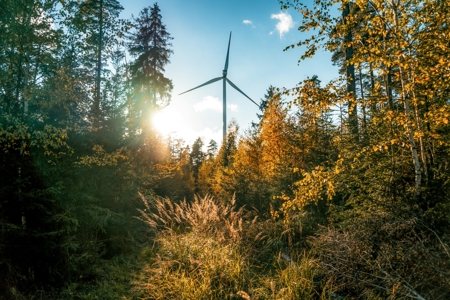 The businesses and cities putting energy at the heart of their Race to Zero