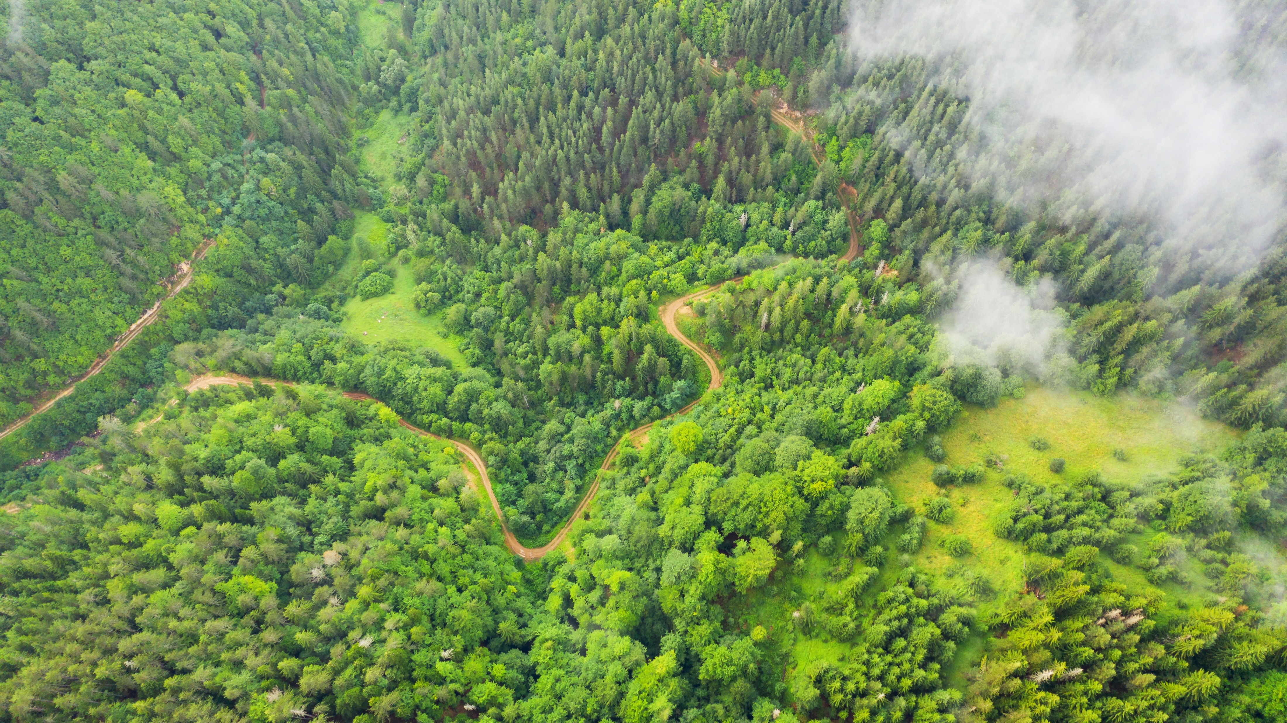 Conexão Mata Atlântica: conservation and restoration aligned with sustainable production