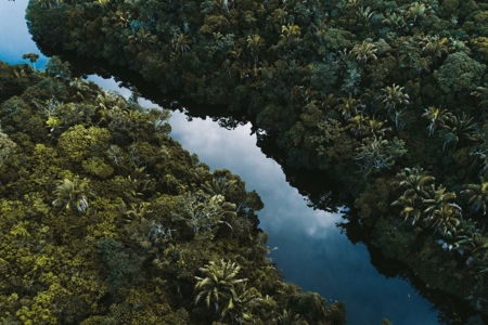 Ahead of COP30, Brazil sets the tone to boost fast, focused climate action