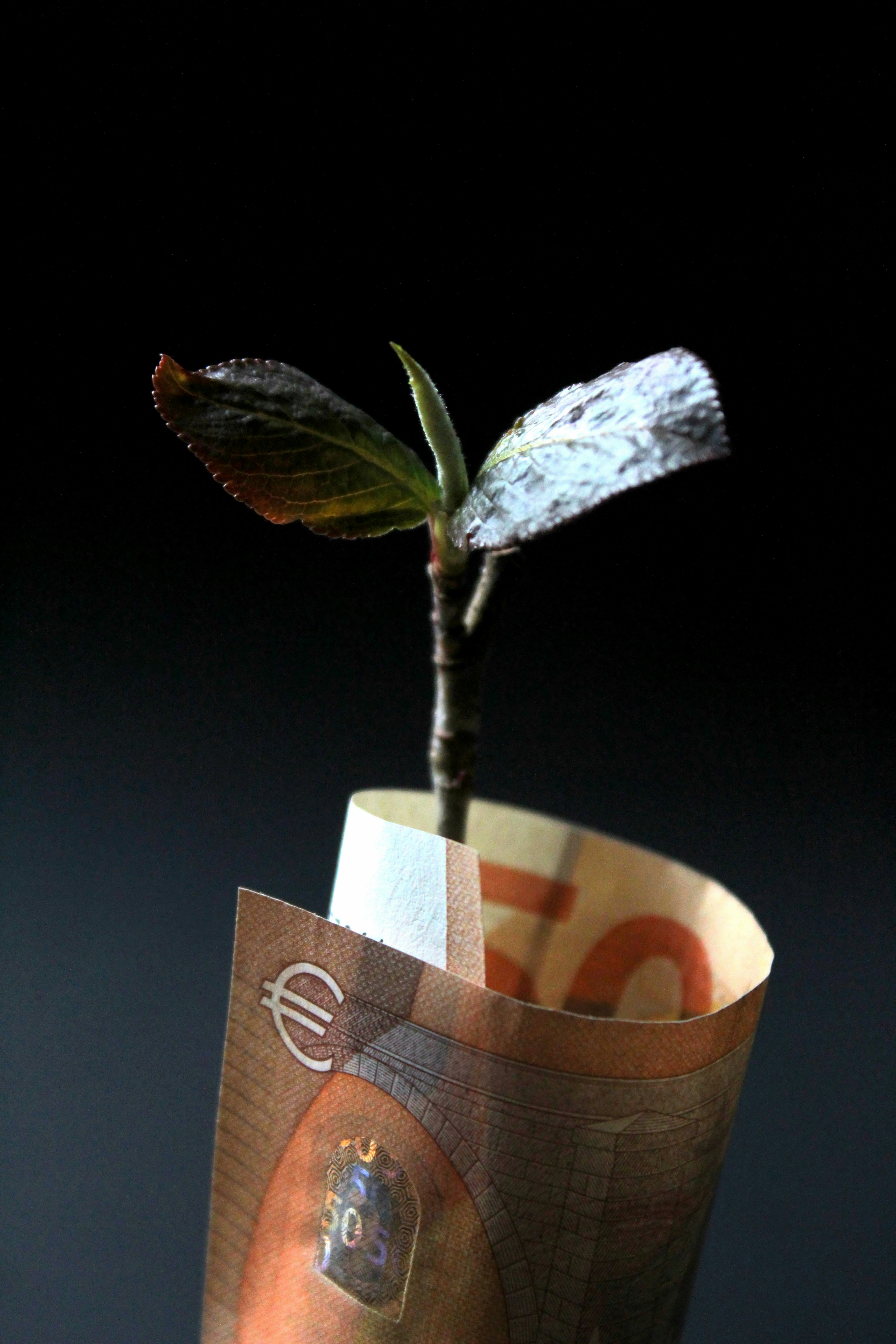 Common Framework for Sustainable Finance Taxonomies for Latin America and the Caribbean