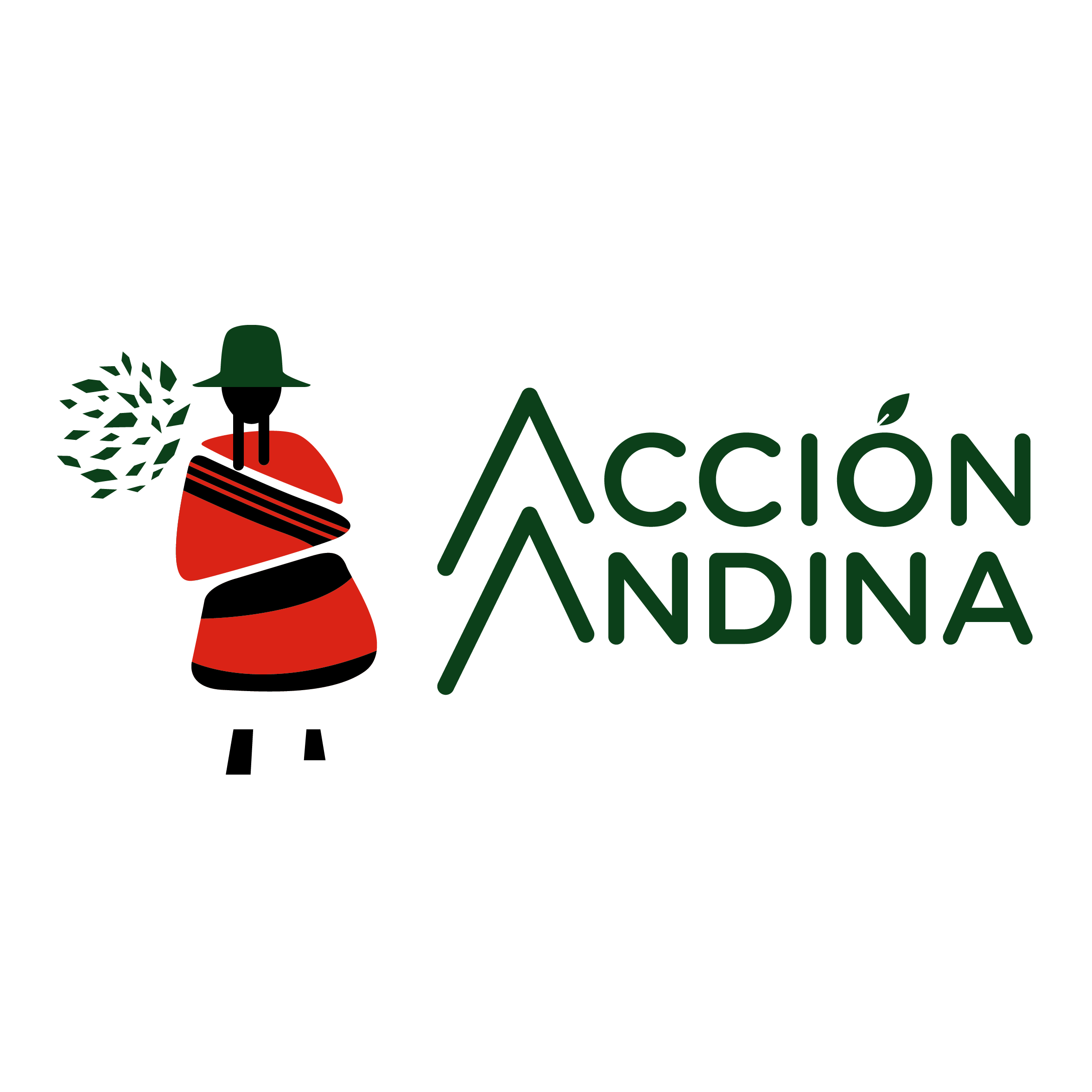 Accion Andina