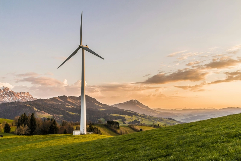 Mobilizing Climate Capital
