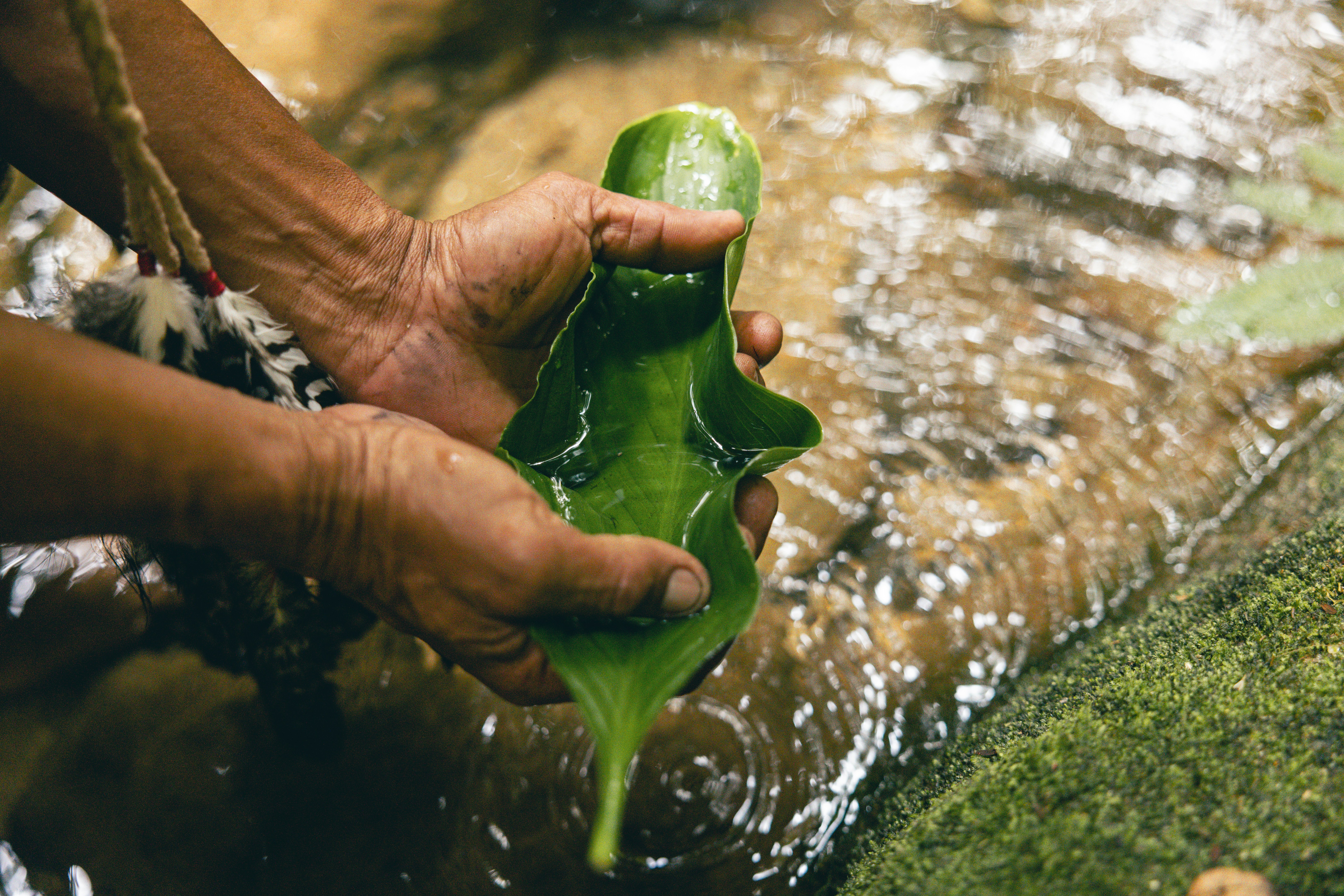 A pipeline to channel funds directly to Indigenous Peoples and local communities