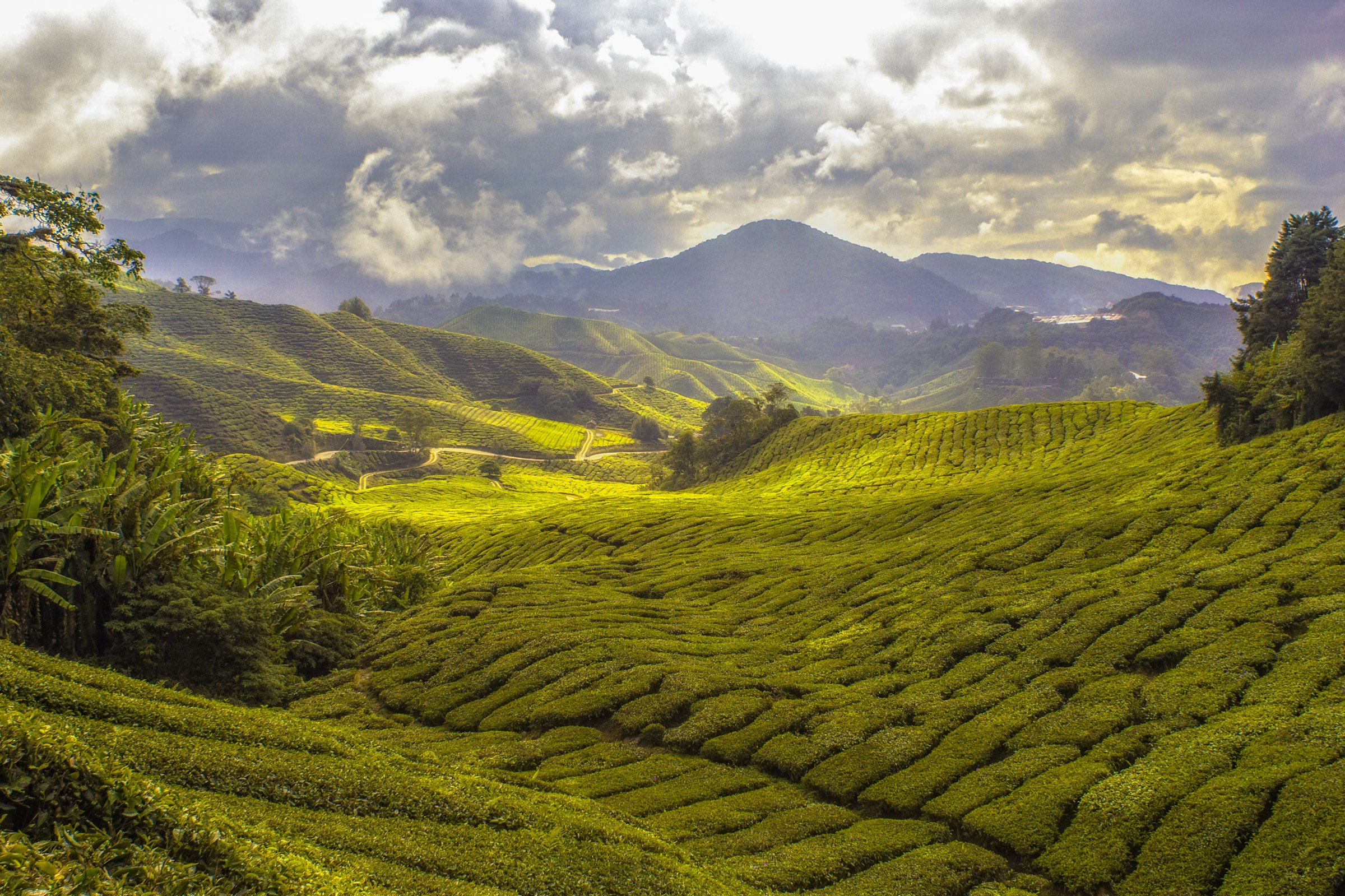 Nature: Land Use