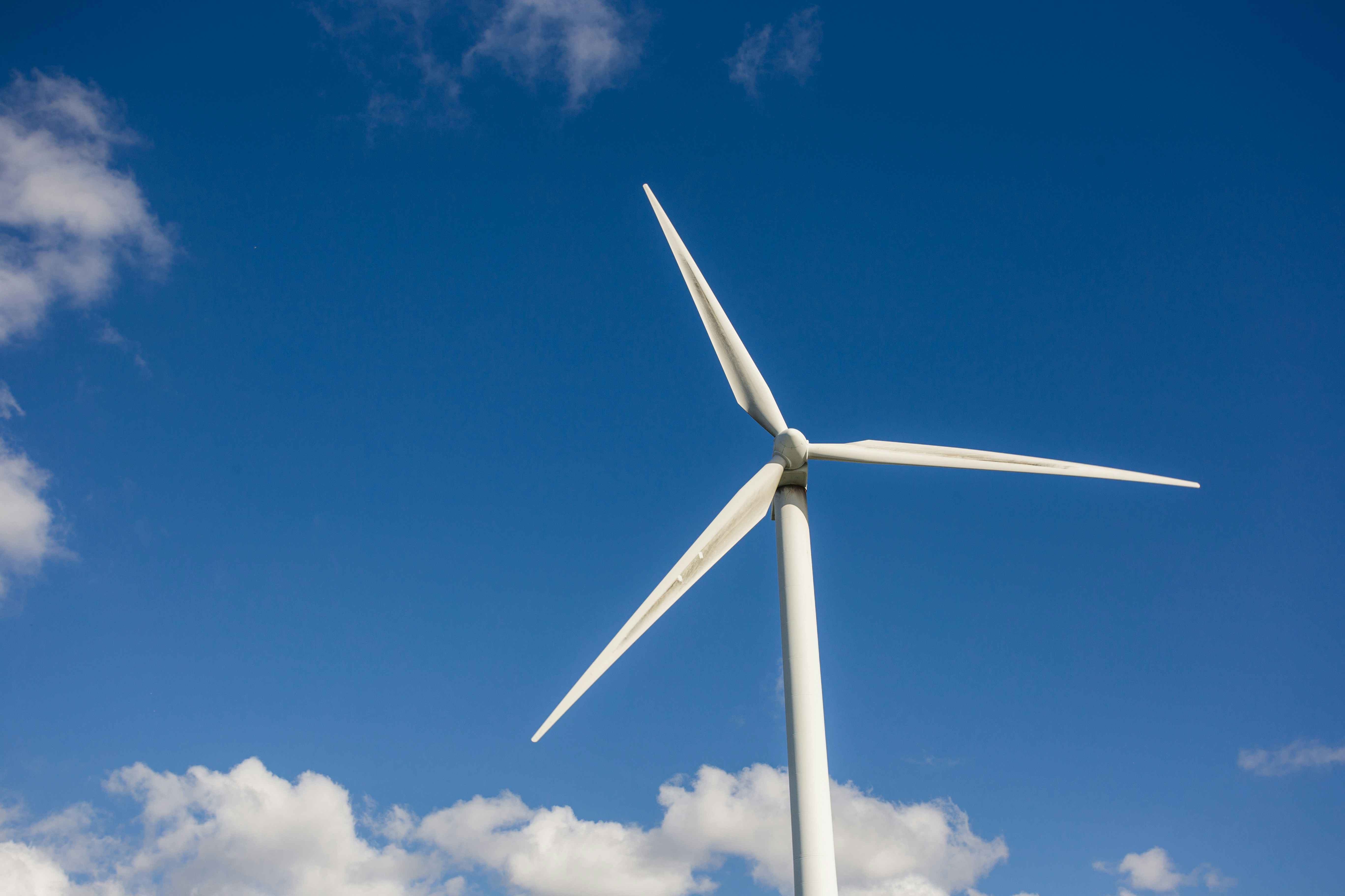 Red Sea Wind Energy Wind Power Plant at the Gulf of Suez