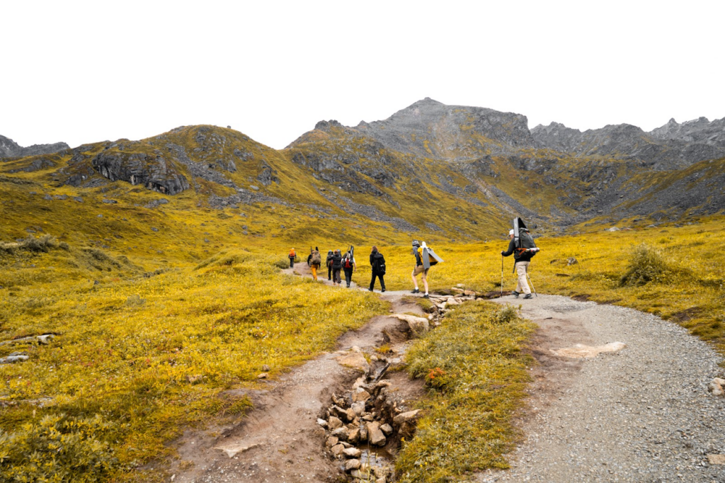 Race to Resilience