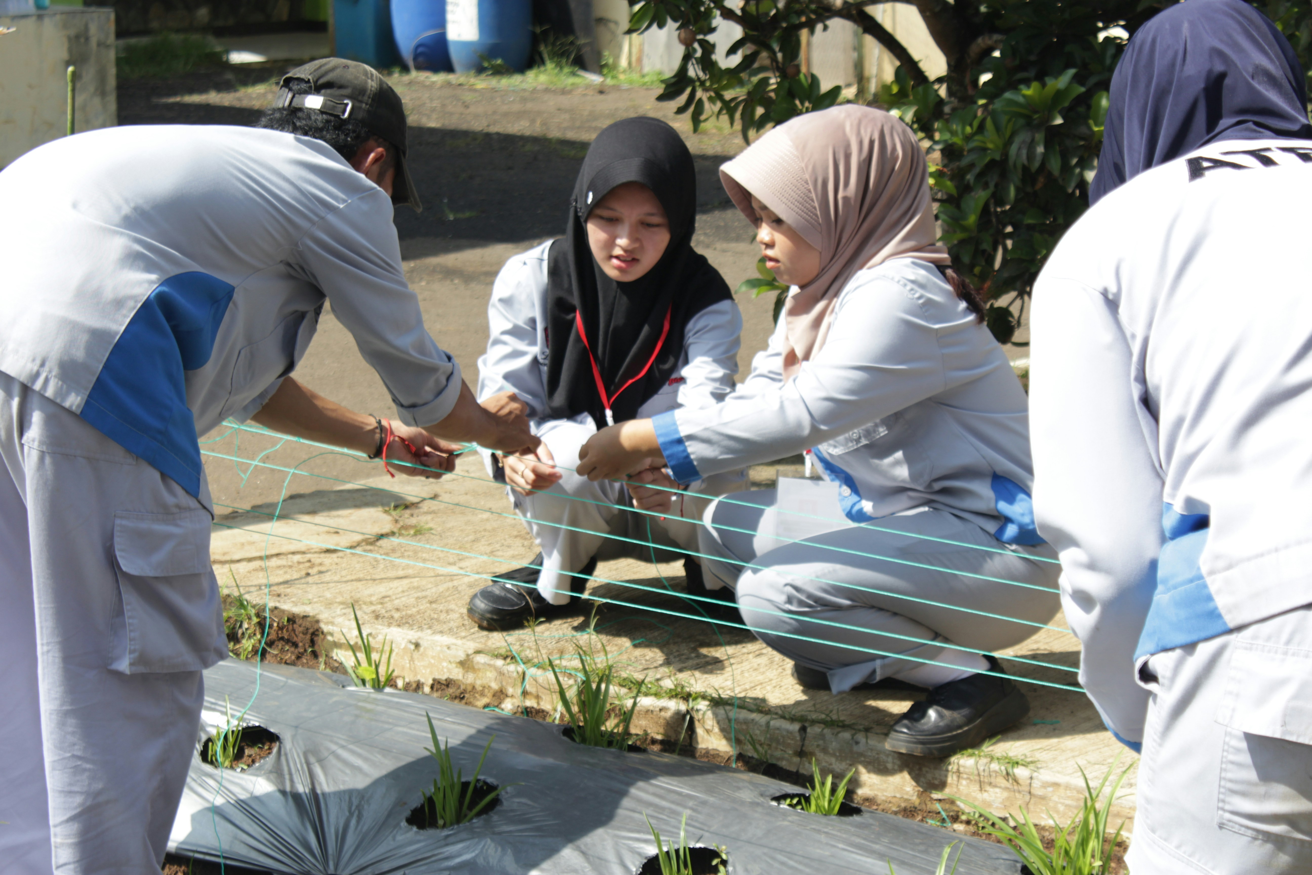 Greening technical and vocational education: a practical guidance tool