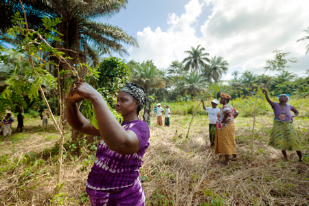 Sharm El-Sheikh Adaptation Agenda reveals progress by state and non-state actors on adaptation and resilience across key systems