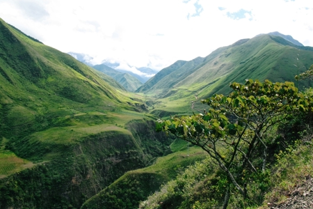 Race to Resilience in Action: How Indigenous knowledge is guiding regional responses to climate change 