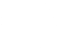 00 SAA White_Flash.png